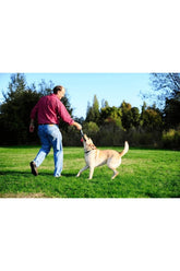 Chuckit! Ultra Tug Köpek Çekiştirme Topu (Orta Boy)